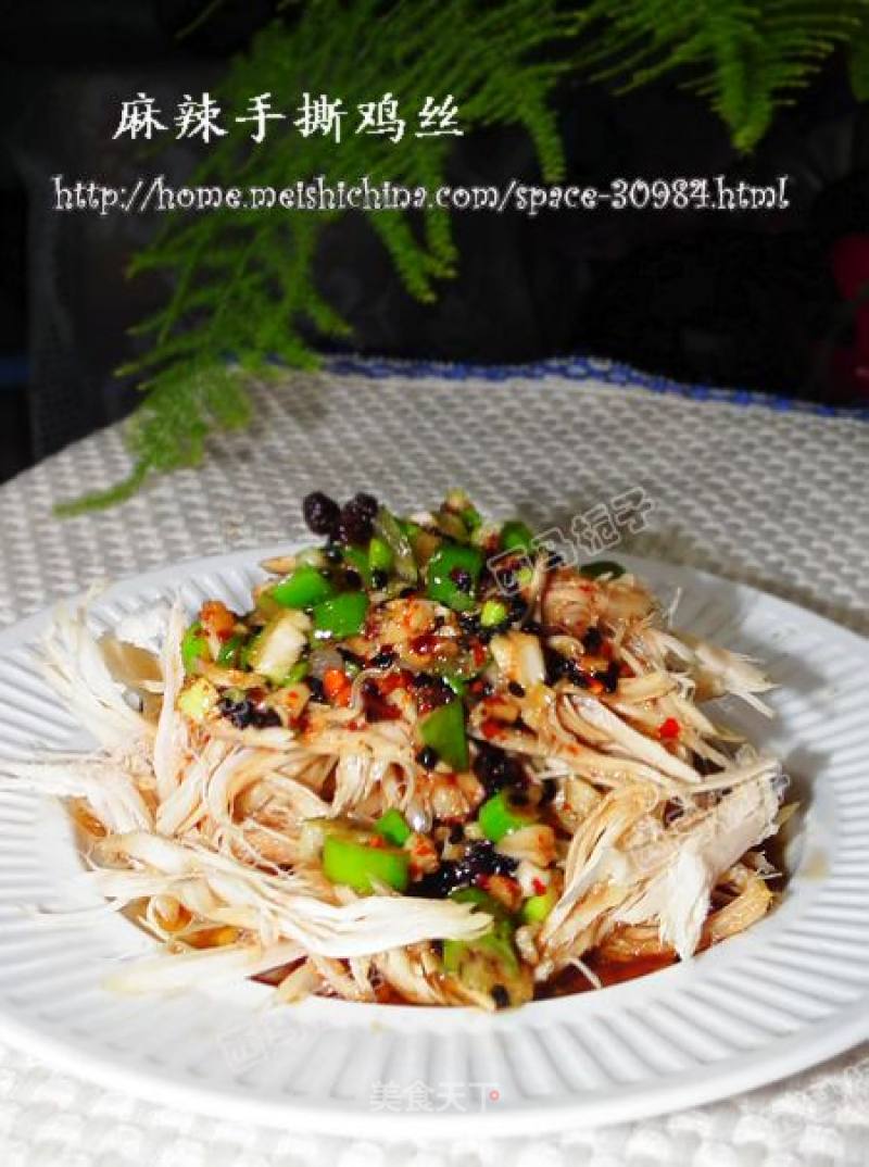 Spicy Shredded Chicken recipe