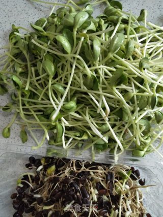 Stir-fried Black Bean Sprouts recipe