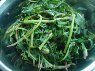 Dandelion Salad recipe