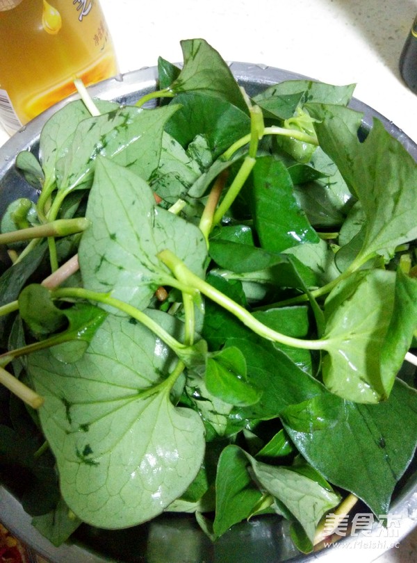 Cold Root and Young Leaves recipe