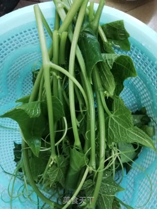 Stir-fried Chayote Seedlings recipe