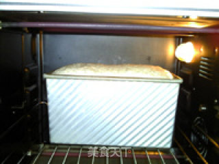 Domed Whole Wheat Toast recipe