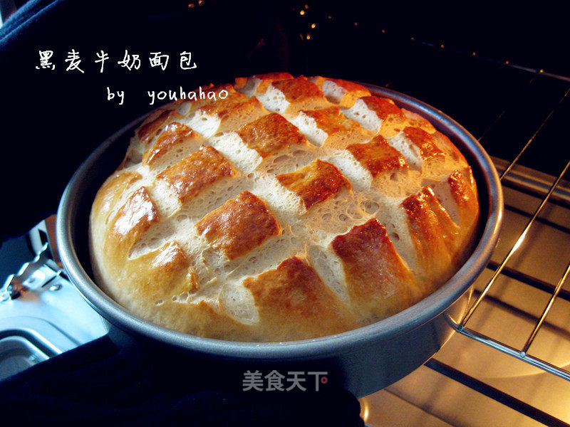 Rye Milk Bread recipe