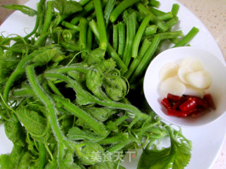 Stir-fried Pumpkin Vine with Dried Red Peppers recipe