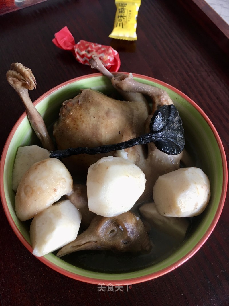 Stewed Pigeon with Lingzhi and Taro recipe