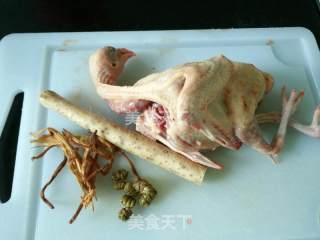 Fengdou Stewed Pigeon recipe