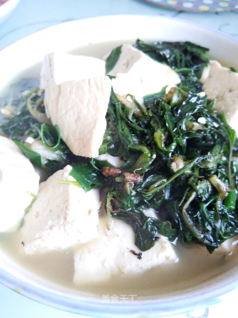 #春食野菜香#bitter Vegetable Stewed Tofu recipe