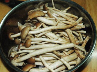 Griddle Tea Tree Mushroom recipe