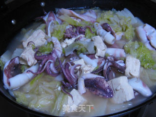 Pen Tube Fish Stewed with Cabbage Tofu recipe