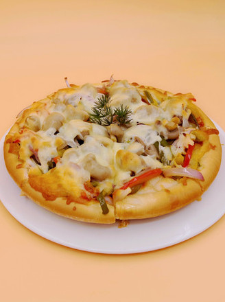 Pizza︱vegetarian Pizza