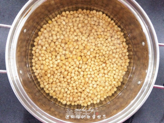 Breadmaker Version Homemade Natto, Brushed to The Sky recipe