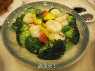 Stir-fried Scallops with Broccoli recipe