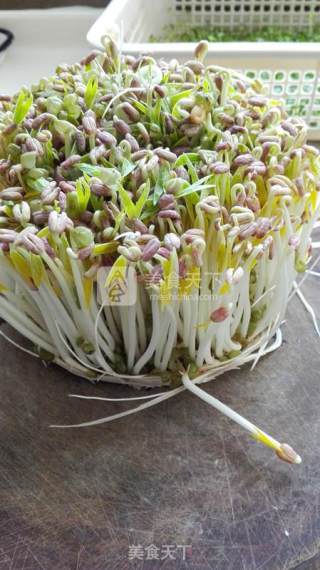 Mung Bean Sprouts recipe