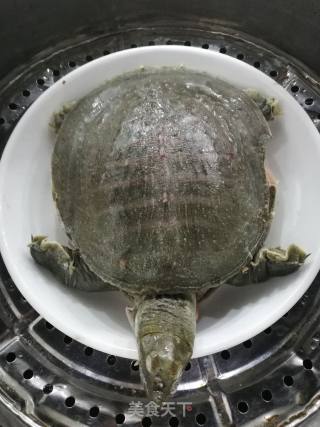 Steamed Turtle recipe