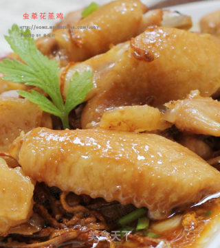 Not Cold But Not Dry, A Good Choice for Tonic in Winter --- Steamed Chicken with Cordyceps recipe