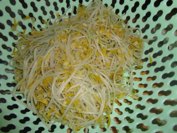 Cold Bean Sprouts recipe