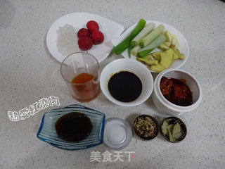 Sauce Beef Tendon recipe