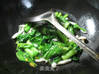 #trust of The Beauty# Stir-fried Rapeseed with White Jade Mushroom recipe