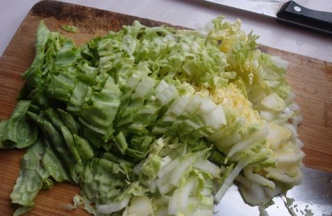 Stir-fried Tomato and Cabbage with Tofu recipe