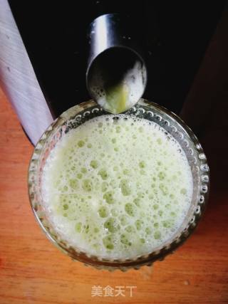 Freshly Squeezed Melon Juice recipe