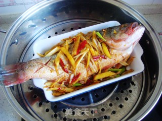 Steamed Sea Bass recipe