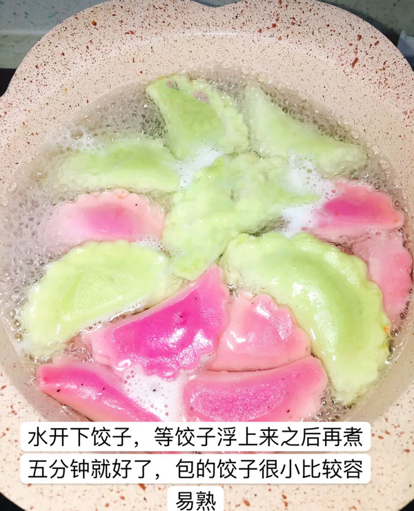 【colorful Dumplings】 recipe