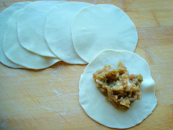 Scallion Pork Dumplings recipe