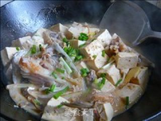 Braised Fish Head Tofu recipe