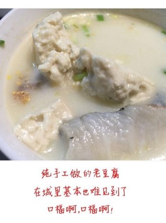Wild Fish Stewed Tofu