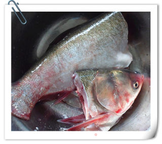 Two White Silver Carp-fish Head Fish Belly Soup + Silver Carp Braised Tofu recipe