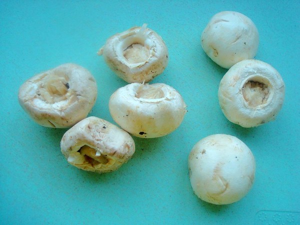 Cumin Mushroom recipe