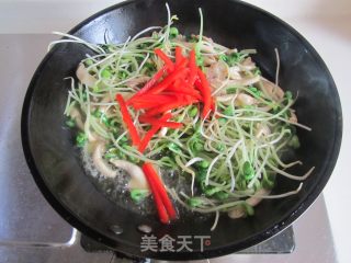 Shimeji Mushroom Fried Bean Sprouts recipe