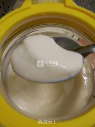 Room Temperature Fermented Yogurt recipe