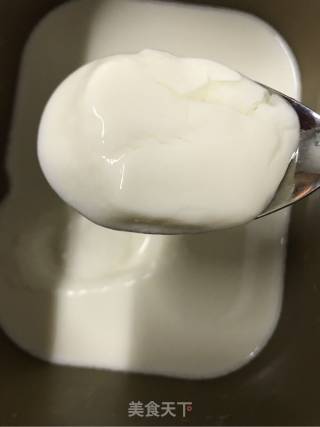 Homemade Yogurt recipe