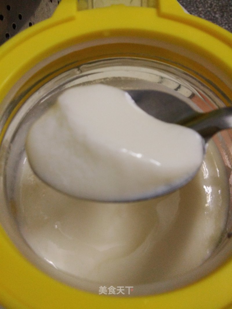 Room Temperature Fermented Yogurt recipe