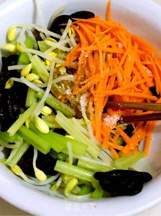 Four Vegetarian Salad recipe