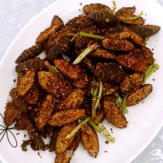 Dried Cumin Cicada Pupa recipe