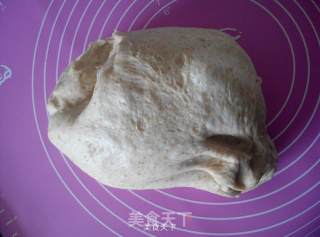 Whole Wheat Fancy Bread recipe