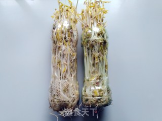 Mung Bean Sprouts recipe