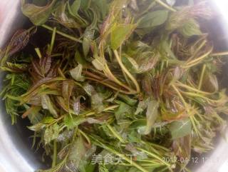 #春食野菜香# Pickled Toon recipe