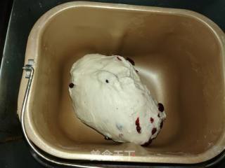 Cranberry Cheese Soft European recipe
