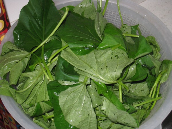 Garlic Brine Sweet Potato Leaves recipe