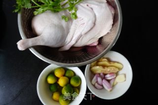 [guangdong] Braised Duck with Green Orange recipe