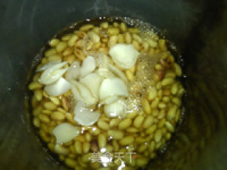 Lily Apple Soy Milk recipe