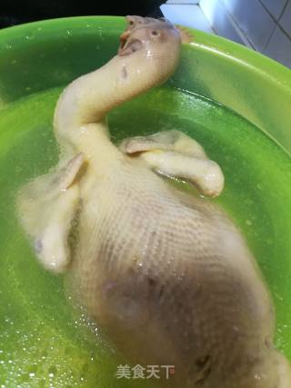 White Sliced Chicken recipe