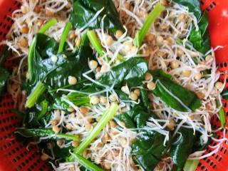 Garlic Lentil Sprouts recipe