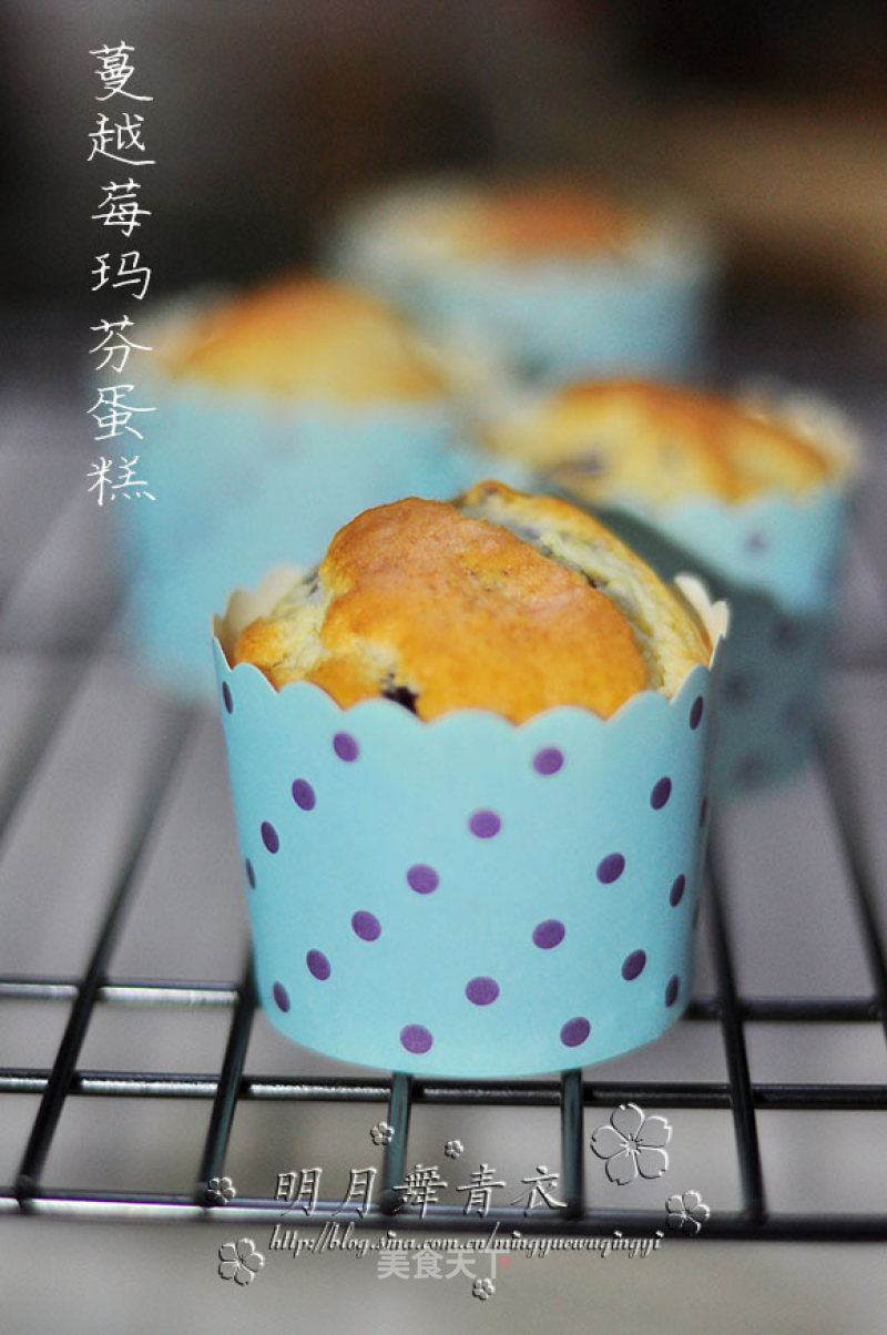 Cranberry Muffin Cake recipe