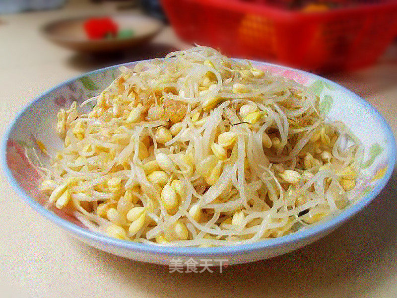 Stir-fried Soybean Sprouts recipe