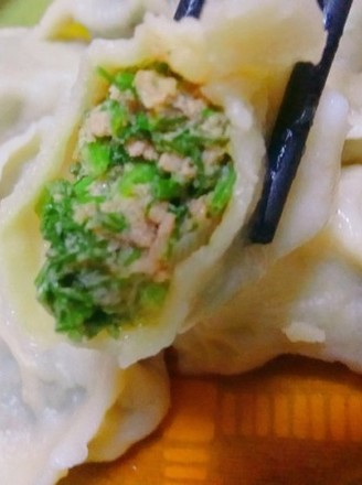 Fennel Pork Dumplings recipe