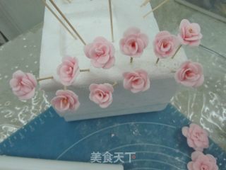 Fondant Cake---peach Blossom recipe